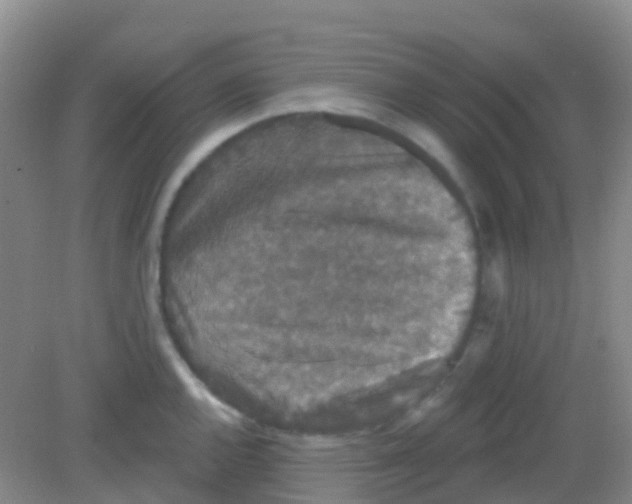 X0000081621144200702051226
