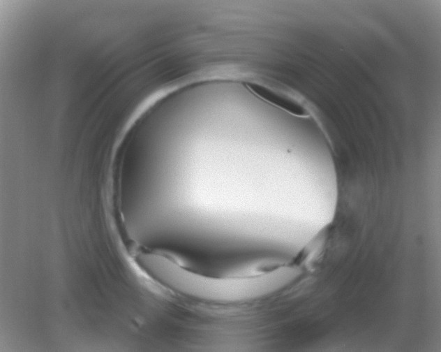 X0000081621147200702051226