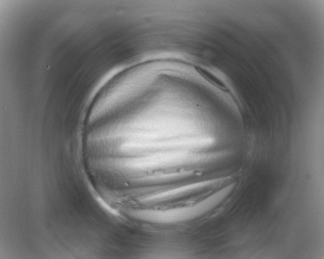X0000081621151200702051226