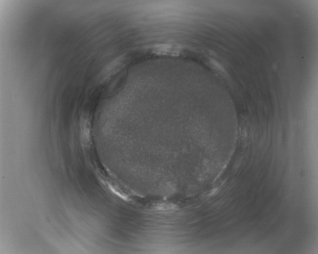 X0000081621154200702051225