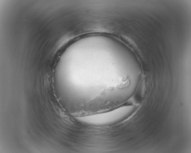 X0000081621163200702051225