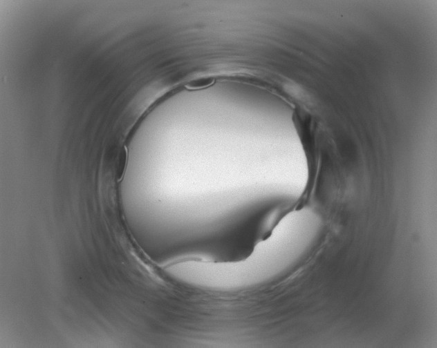 X0000081621177200702051225