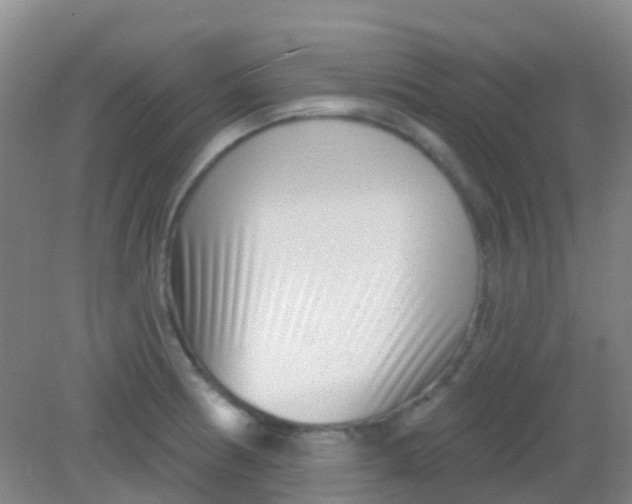 X0000081621186200702051225