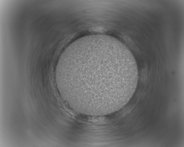 X0000081621201200702051224