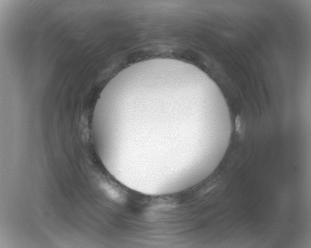 X0000081621203200702051224