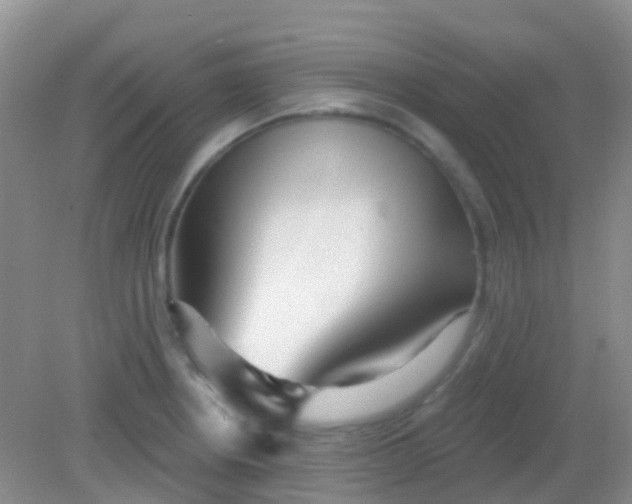 X0000081621234200702051224