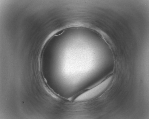 X0000081621238200702051224