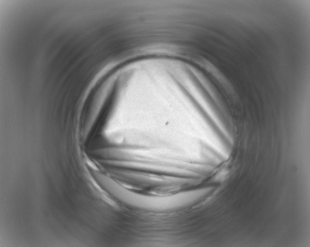 X0000081621240200702051224