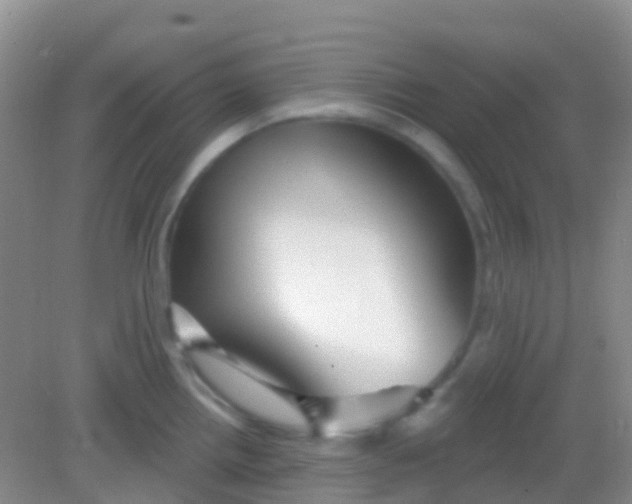 X0000081621242200702051224