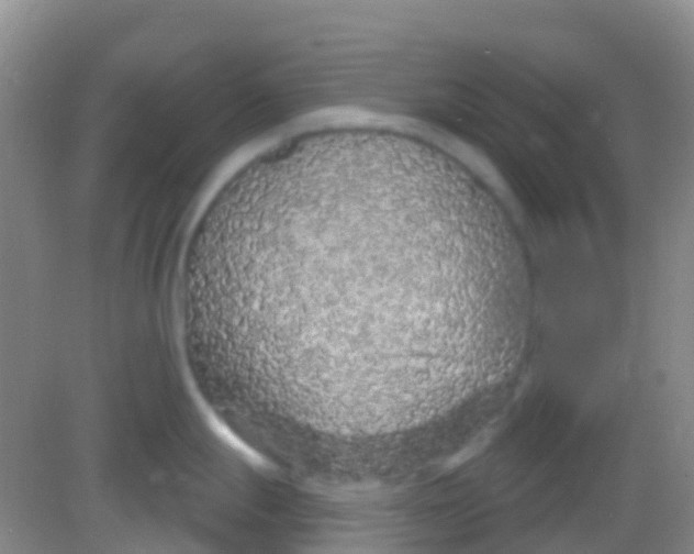 X0000081621247200702051224