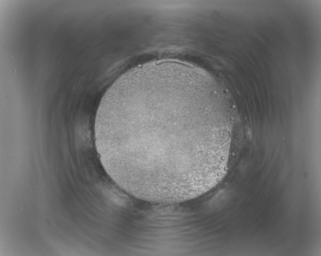 X0000081621252200702051224