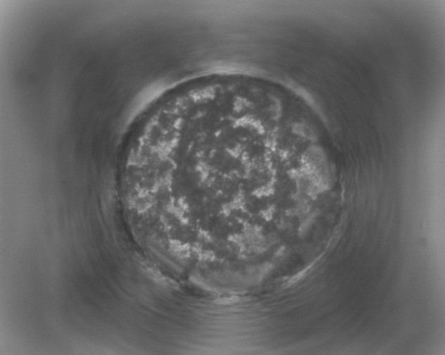 X0000081621263200702051223