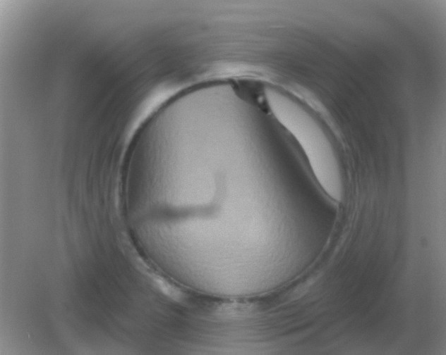 X0000081621277200702051223
