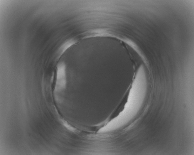 X0000081621289200702051223