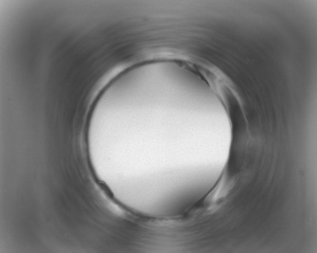 X0000081621293200702051223