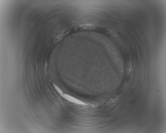 X0000081621298200702051222