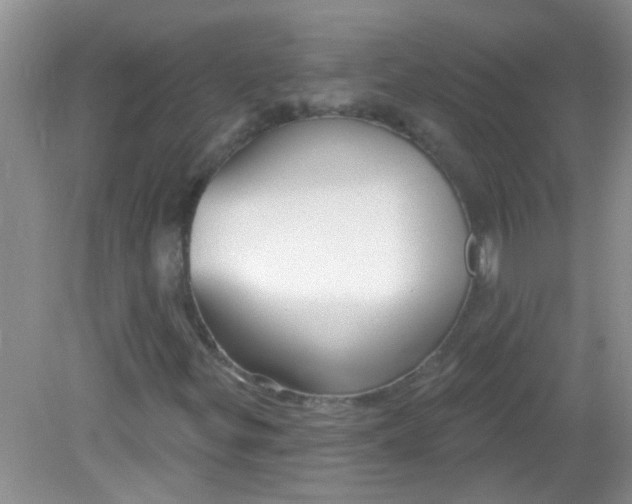 X0000081621299200702051222
