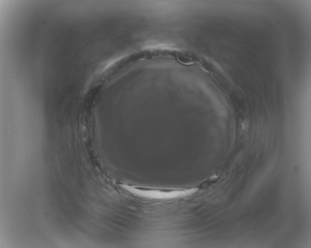 X0000081621303200702051222