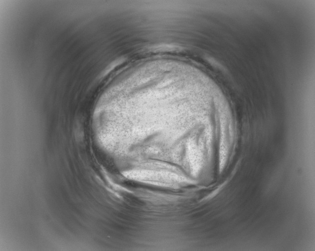 X0000081621305200702051222
