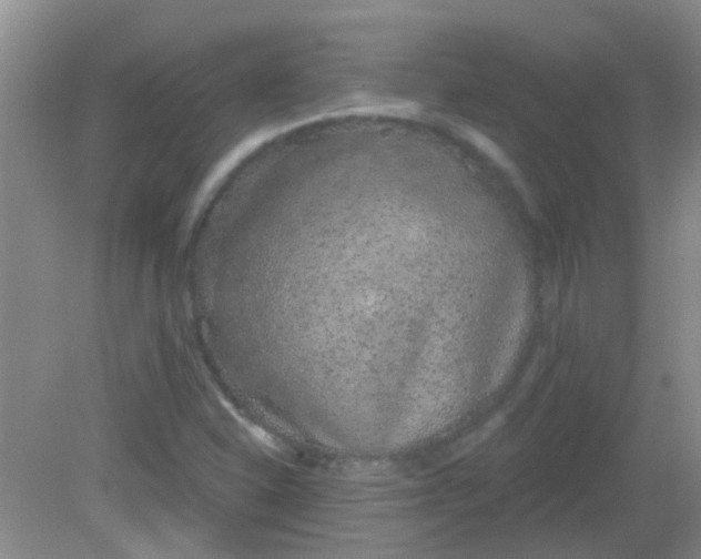 X0000081621310200702051222