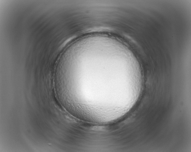 X0000081621313200702051222
