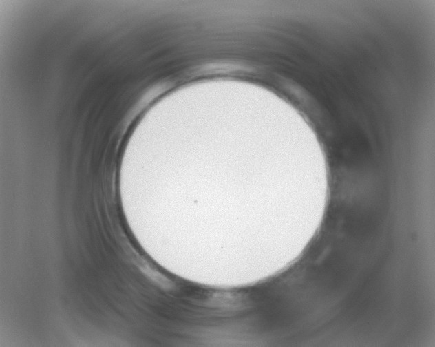 X0000081621322200702051222