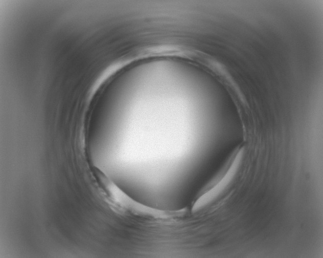X0000081621328200702051223