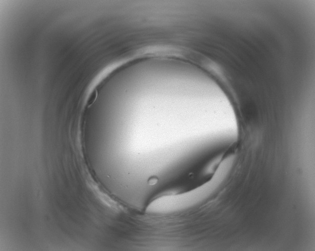 X0000081621336200702051223