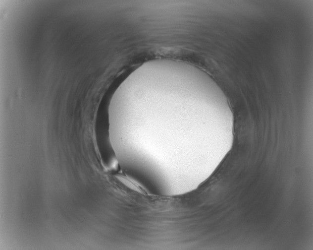X0000081621345200702051222