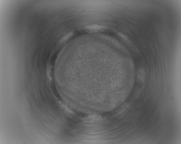 X0000081621346200702051222