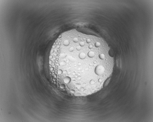 X0000081621347200702051222
