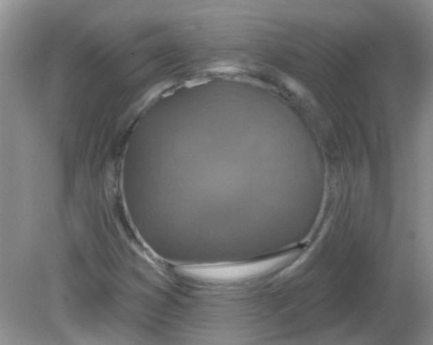 X0000081621353200702051222