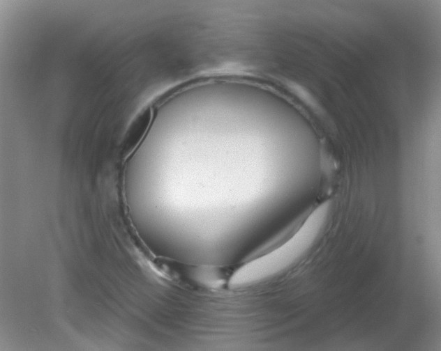 X0000081621356200702051222