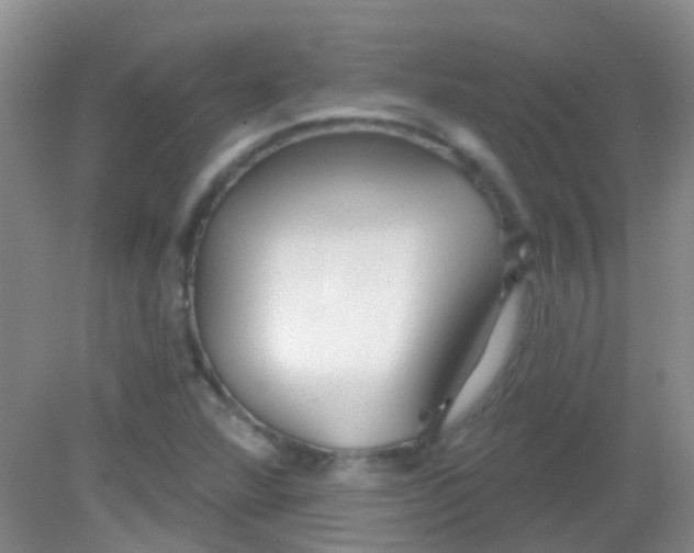 X0000081621360200702051222