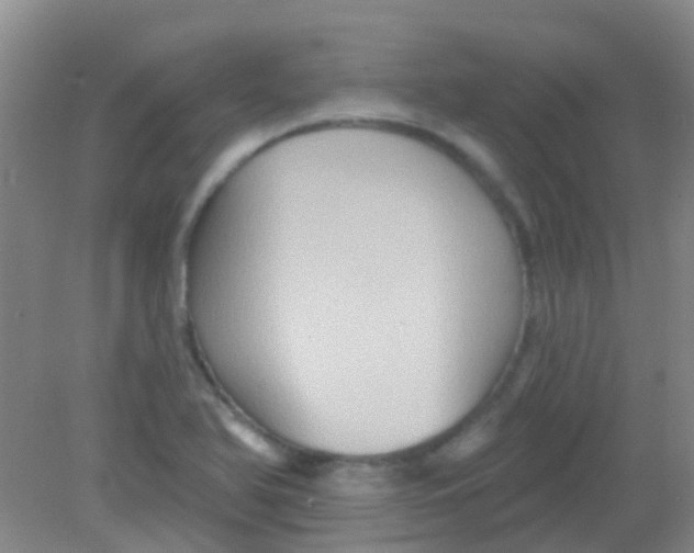X0000081621366200702051222
