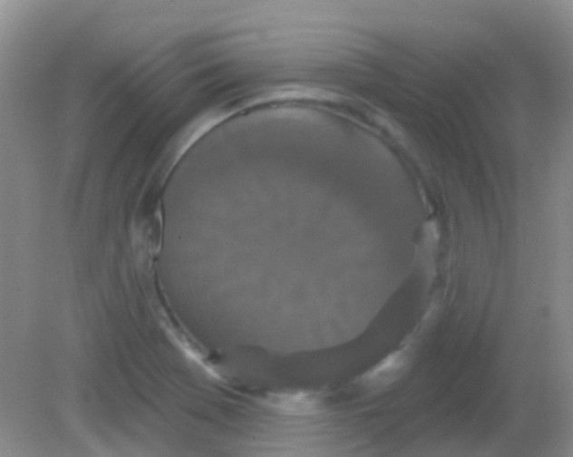 X0000081621369200702051222