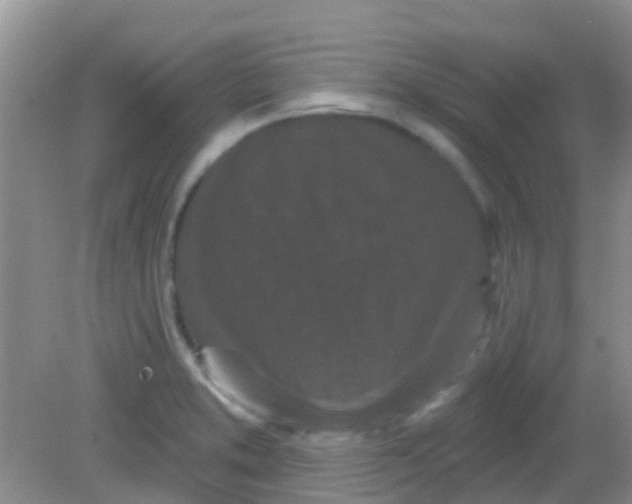 X0000081621373200702051222