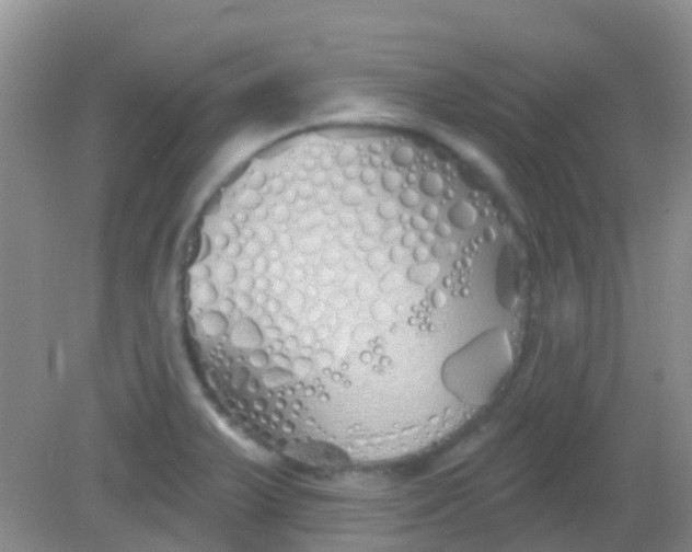 X0000081621375200702051221