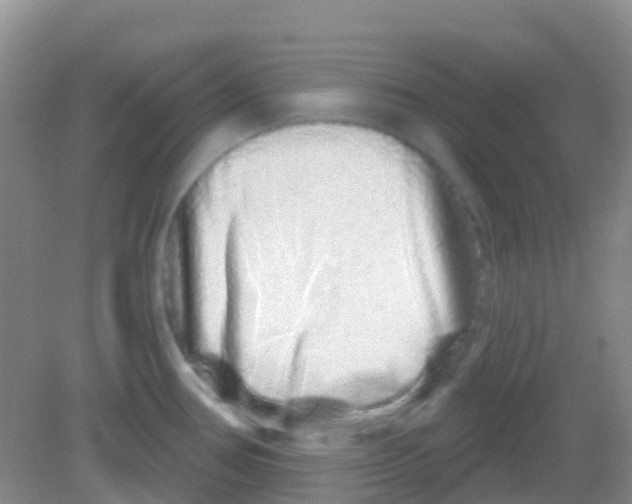 X0000081621386200702051221