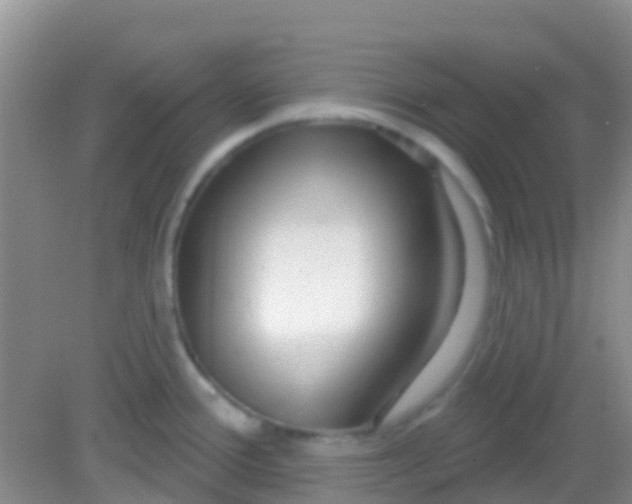 X0000081621388200702051221