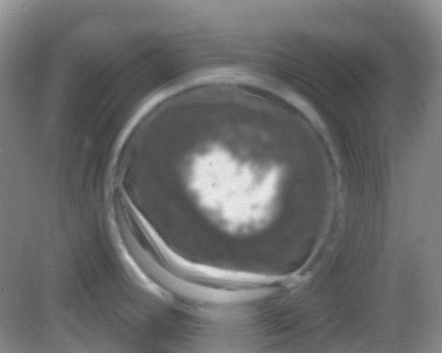X0000081621392200702051221