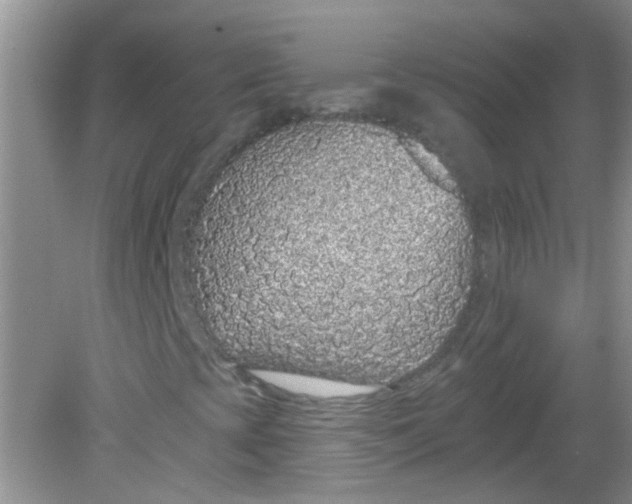 X0000081621393200702051220