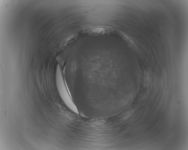 X0000081621394200702051220