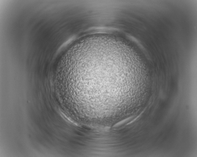 X0000081621403200702051221