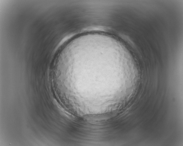 X0000081621404200702051221