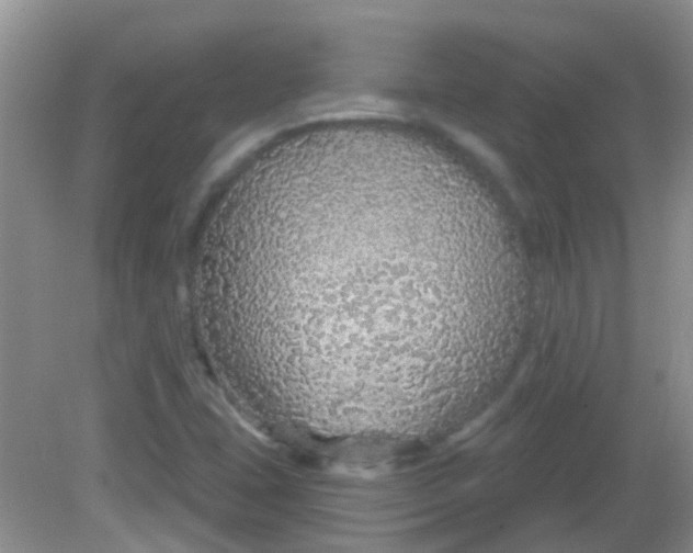X0000081621407200702051221