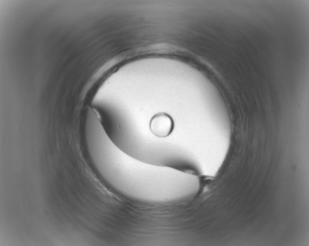 X0000081621410200702051221