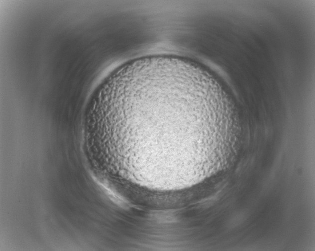 X0000081621415200702051221