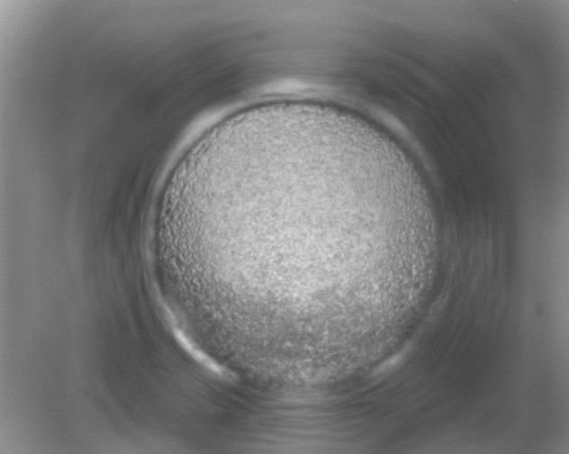 X0000081621421200702051221