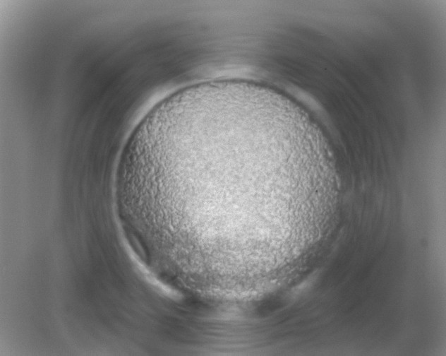 X0000081621423200702051221